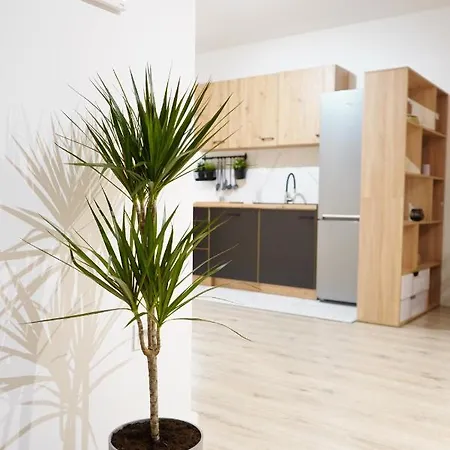 Multirooms Apartman Drawsko Pomorskie