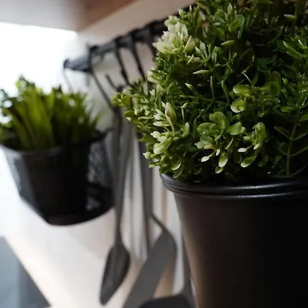 Multirooms * Drawsko Pomorskie