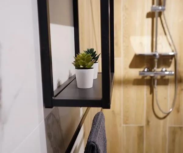 Apartman Multirooms *