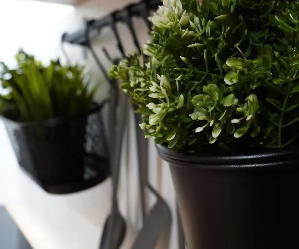 Multirooms * Drawsko Pomorskie