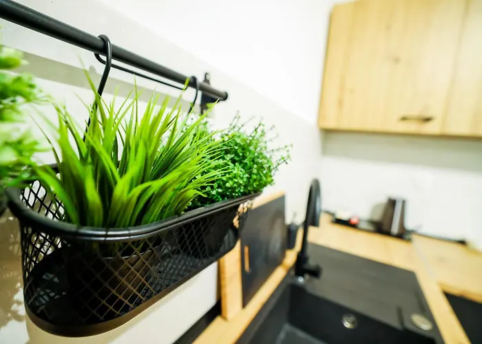 Apartment Multirooms